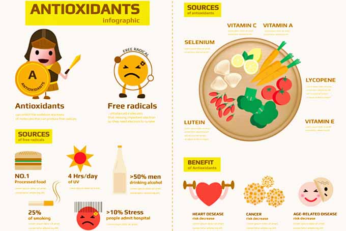 antioxidants 1